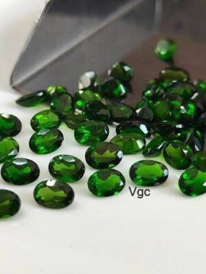 WhatsApp Image 2025-12-23 at 12.35.55 PM