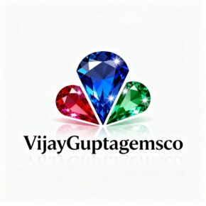 VijayGuptagemsco