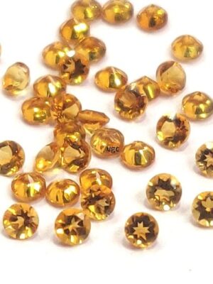 WhatsApp Image 2025-12-23 at 1.39.49 PM (3)