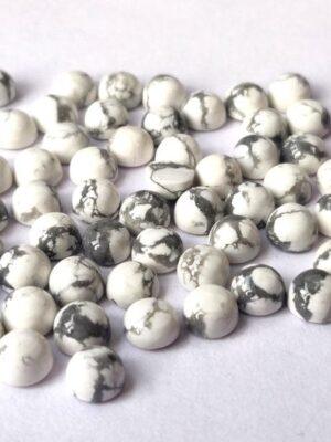 WhatsApp Image 2026-01-28 at 2.15.44 PM