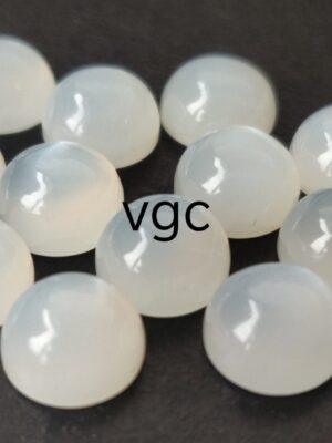 WhatsApp Image 2026-02-11 at 4.17.22 PM