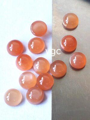 WhatsApp Image 2026-02-11 at 4.35.38 PM