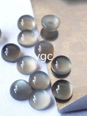 WhatsApp Image 2026-02-11 at 4.35.39 PM